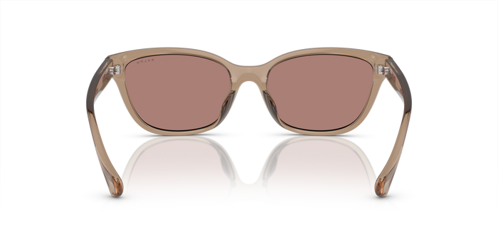 Gafas de Sol Ralph Lauren RA5307U 612073 55 17 — vista 3