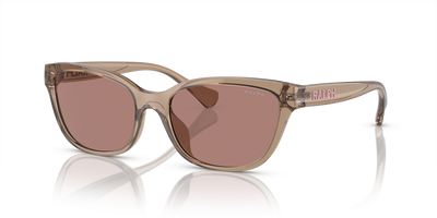 太阳镜 Ralph Lauren RA5307U 612073 55 17