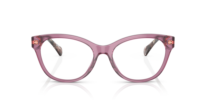 Оправа для очков Ralph Lauren RA7141 6008 54 17 — vista 4