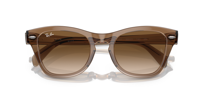 Солнцезащитные очки Ray-Ban RB0707S 664051 50 21 — vista 6