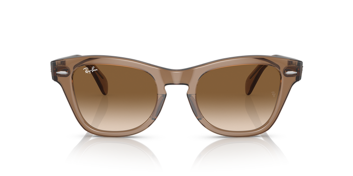 Солнцезащитные очки Ray-Ban RB0707S 664051 50 21 — vista 5