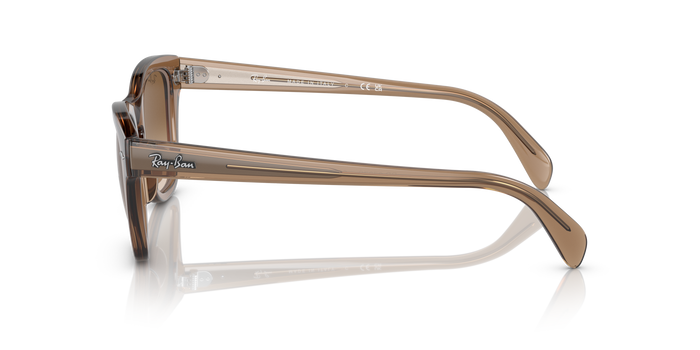 Солнцезащитные очки Ray-Ban RB0707S 664051 50 21 — vista 2
