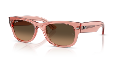 Ray-Ban MEGA WAYFARER II RB0832S 684843 太阳镜
