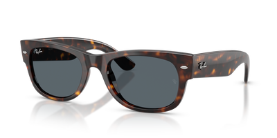 Ray-Ban RB0832S 902/R5 55 21 太阳镜