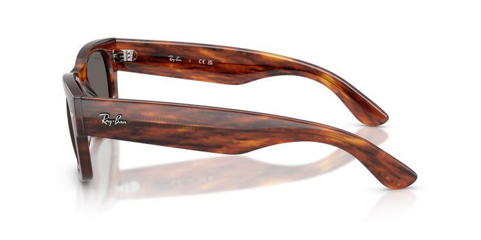 Sonnenbrille Ray-Ban MEGA WAYFARER II RB0832S 954/B1 — Bild 3