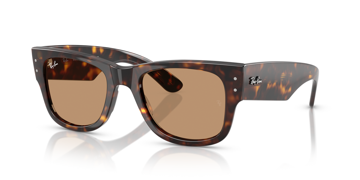 Gafas de Sol Ray-Ban MEGA WAYFARER RB0840S 902/53 51 21