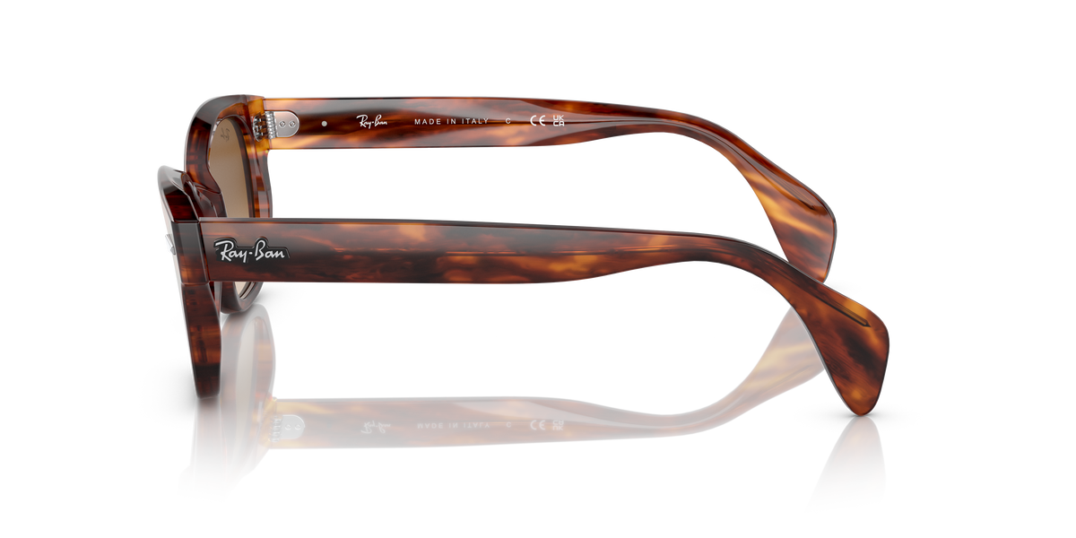太阳镜 Ray-Ban RB0880S 954/51 52 19