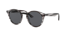 Gafas de Sol Ray-Ban RB2180 643087