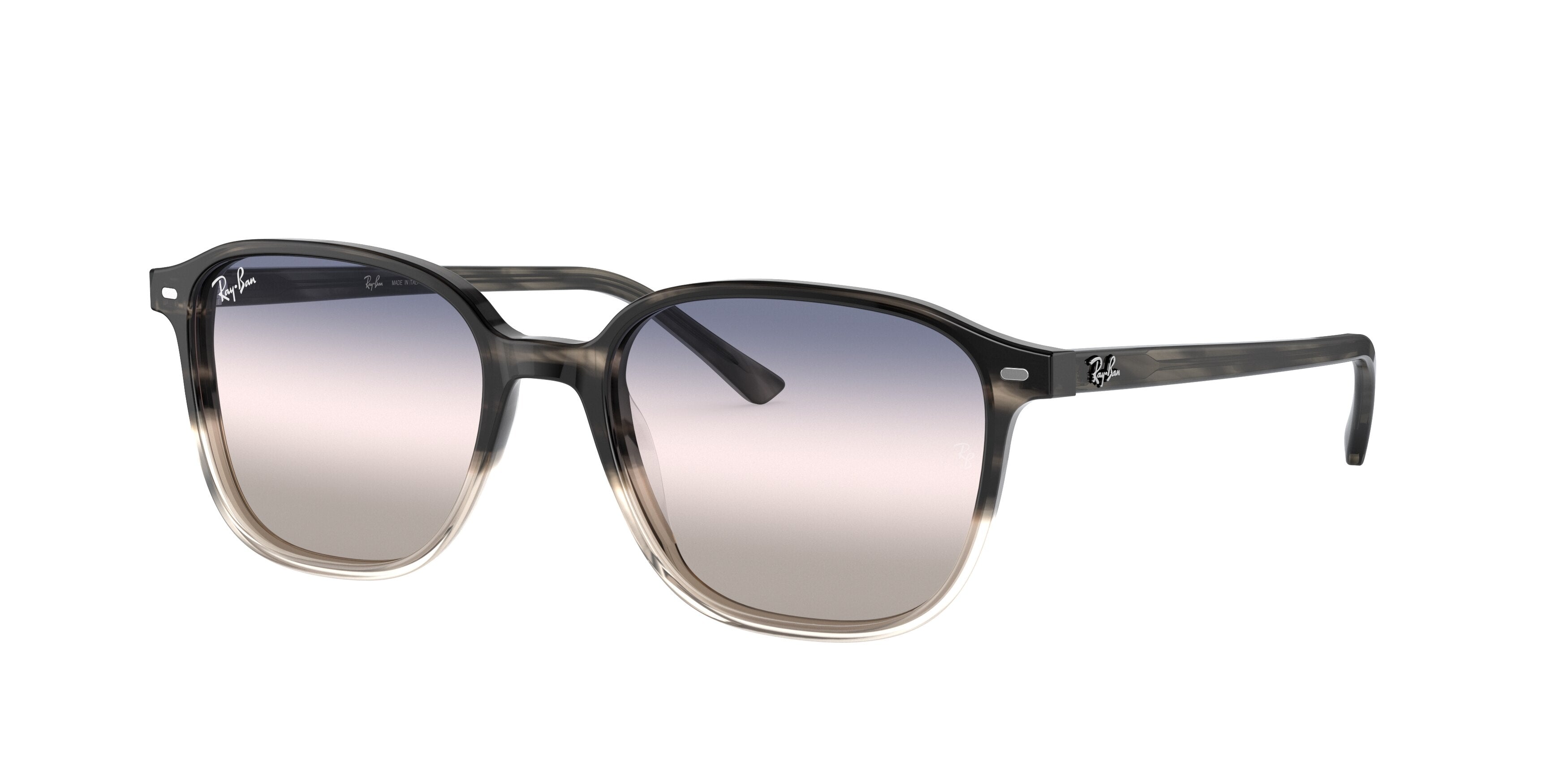 Gafas de Sol Ray-Ban LEONARD RB2193 1326GE 53 18