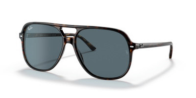 Sunglasses Ray-Ban BILL RB2198 902/R5 56 14