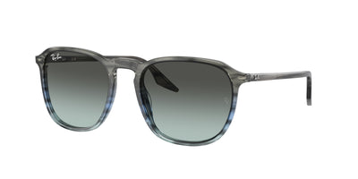 Солнцезащитные очки Ray-Ban RB2203 1391GK 52 20
