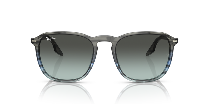 Sunglasses Ray-Ban RB2203 1391GK 52 20 — Image 2