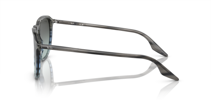 Sunglasses Ray-Ban RB2203 1391GK 52 20 — Image 3