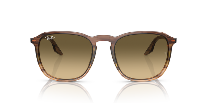 Ray-Ban RB2203 13920A 52 20 太阳镜 — 图片 2