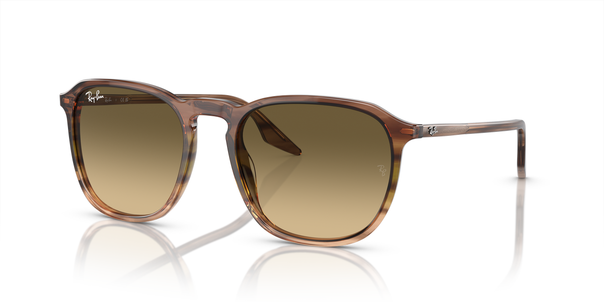 Ray-Ban RB2203 13920A 52 20 太阳镜