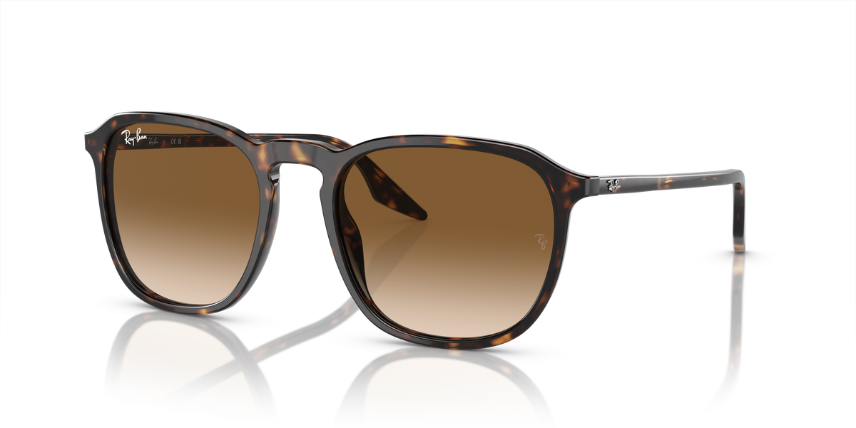 Ray-Ban RB2203 902/51 52 20 太阳镜