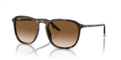 Ray-Ban RB2203 902/51 52 20 太阳镜
