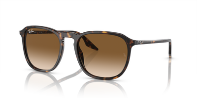 Sonnenbrille Ray-Ban RB2203 902/51 52 20