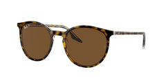 Sunglasses Ray-Ban RB2204 139357