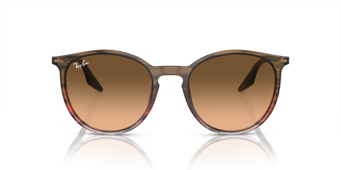Ray-Ban 太阳镜 RB2204 13953B 51 20 — 图片 2