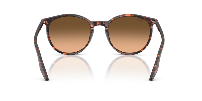 Lunettes de Soleil Ray-Ban RB2204 14293B — Image 4