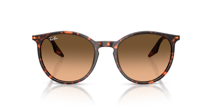 Lunettes de Soleil Ray-Ban RB2204 14293B — Image 2