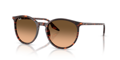 Lunettes de Soleil Ray-Ban RB2204 14293B