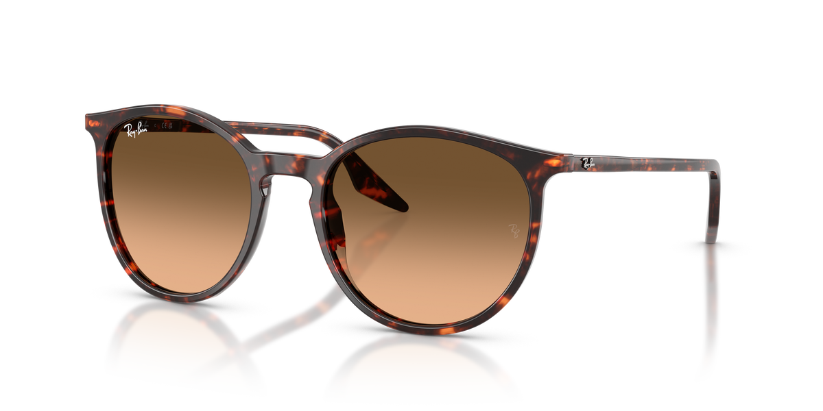 Sunglasses Ray-Ban RB2204 14293B