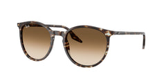 Sunglasses Ray-Ban RB2204 143151