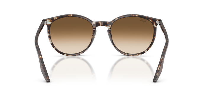 Gafas de Sol Ray-Ban RB2204 143151 — Imagen 4