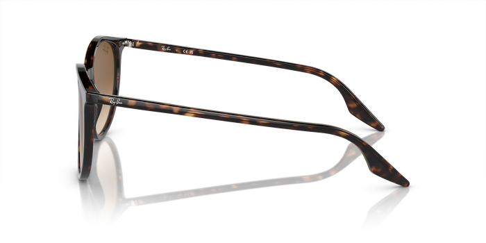 Ray-Ban RB2204 902/51 54 20 太阳镜 — 图片 3