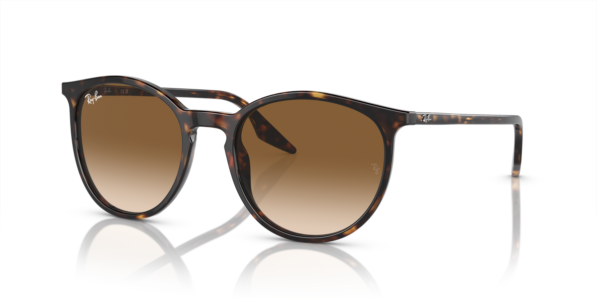 Ray-Ban RB2204 902/51 54 20 太阳镜