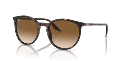 Солнцезащитные очки Ray-Ban RB2204 902/51 54 20