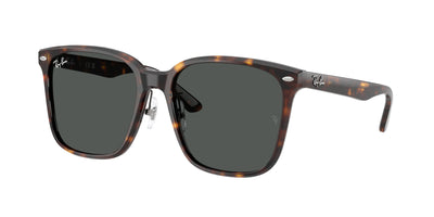 Lunettes de Soleil Ray-Ban RB2206D 710/87 57 18