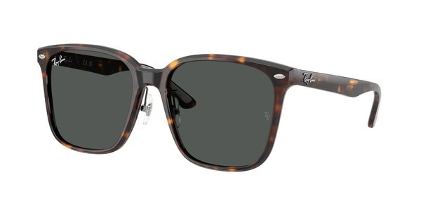 Gafas Graduadas Ray-Ban RB2206D 710/87 57 18