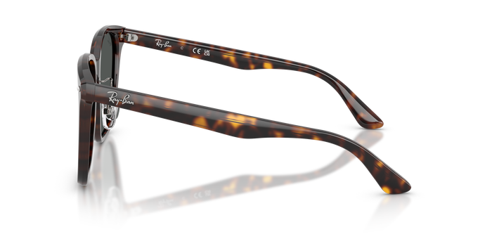 Gafas de Sol Ray-Ban RB2206D 710/87 57 18 — Imagen 3