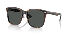 Gafas de Sol Ray-Ban RB2206D 710/87 57 18