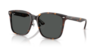Sunglasses Ray-Ban RB2206D 710/87 57 18