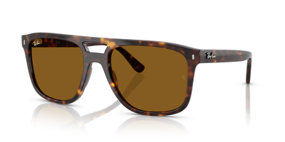 Lunettes de Soleil Ray-Ban RB2213 902/33