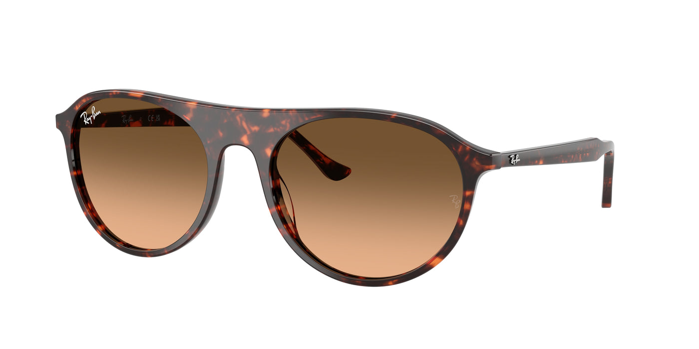 Gafas Graduadas Ray-Ban RB2215 14293B