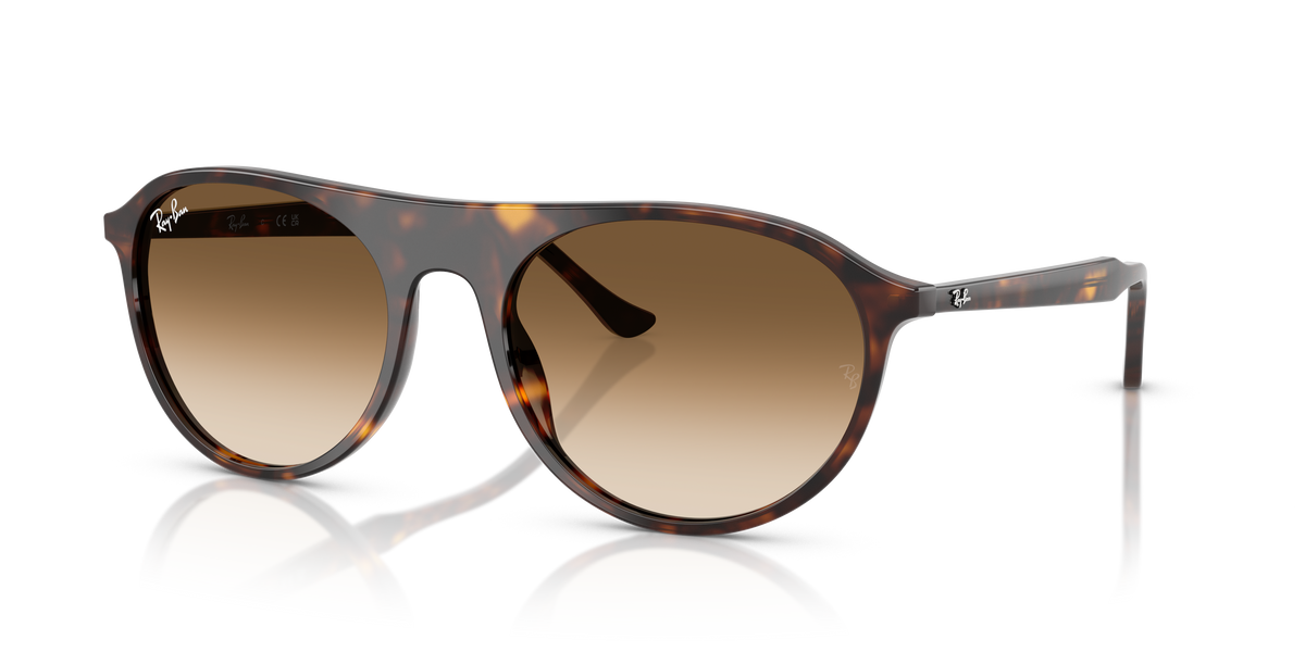 Lunettes de Soleil Ray-Ban RB2215 902/51