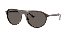 Sunglasses Ray-Ban RB2215 902/B1