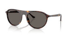 Sunglasses Ray-Ban RB2215 902/B1