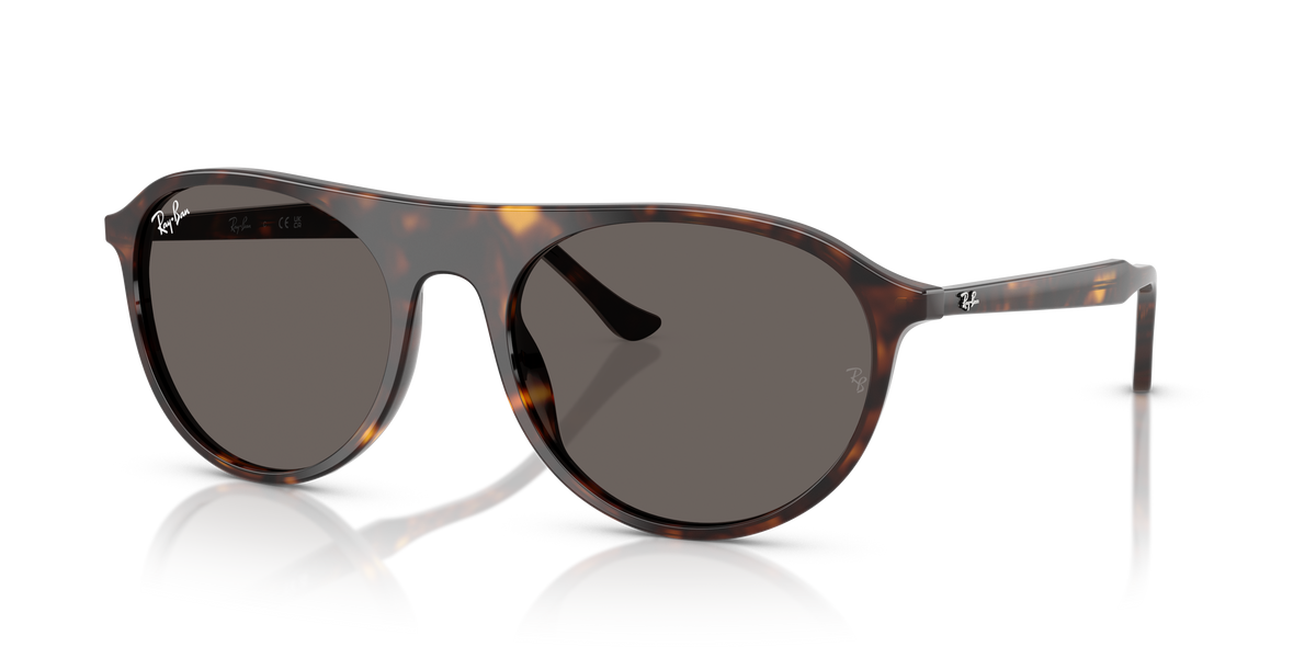Lunettes de Soleil Ray-Ban RB2215 902/B1