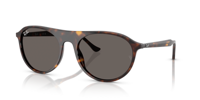 Gafas de Sol Ray-Ban RB2215 902/B1