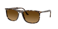 Sonnenbrille Ray-Ban RB2216 143185