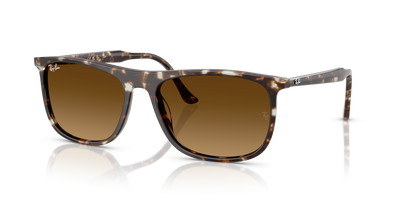 Gafas de Sol Ray-Ban RB2216 143185