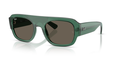 Ray-Ban RB2218 6681/3 55 22 太阳镜