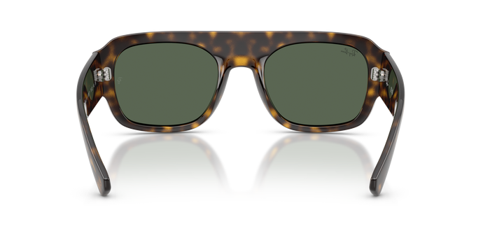 Sunglasses Ray-Ban RB2218 679071 55 22 — Image 4