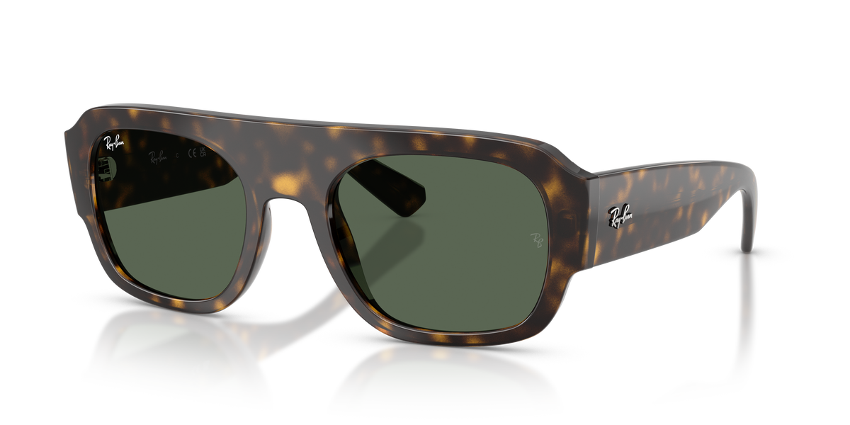 Gafas de Sol Ray-Ban RB2218 679071 55 22